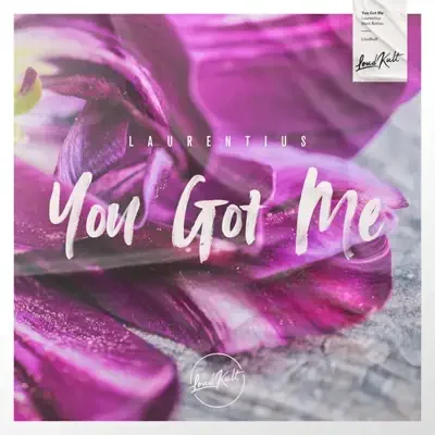 Cover art of You Got Me by Laurentius & Mark Borino